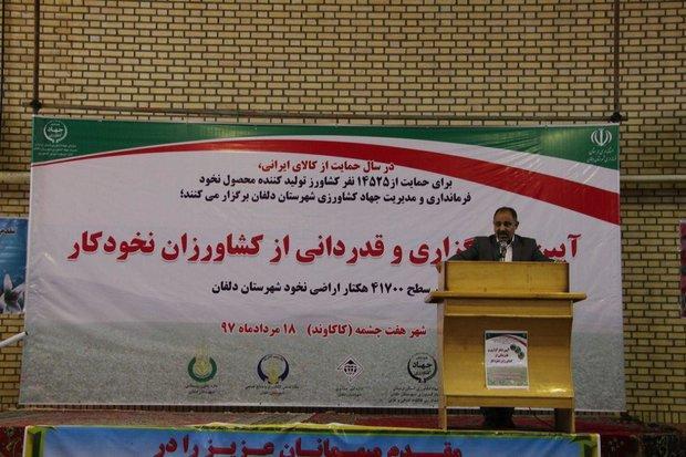 سود حبوبات تولیدی کشاورزان دلفان به استان های هم جوار می رسد
