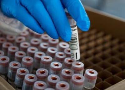 چین برای شناسایی منشا ویروس کرونا همکاری می نماید